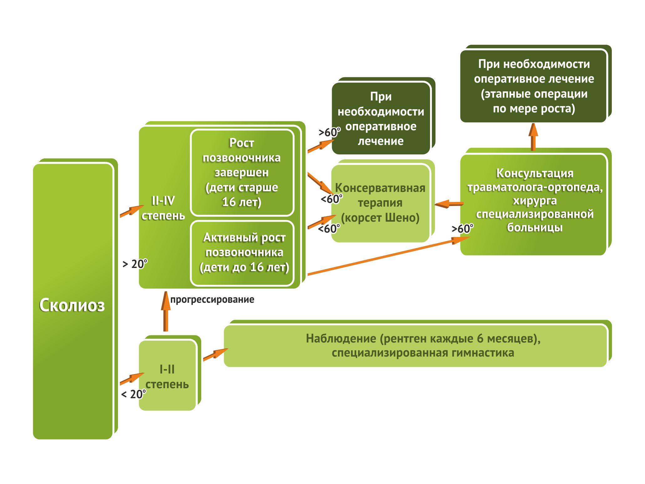 Возможные этапы лечения сколиоза